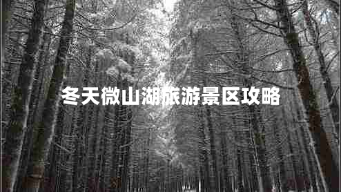 冬天微山湖旅游景區攻略