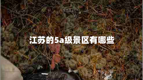 江蘇的5a級景區有哪些