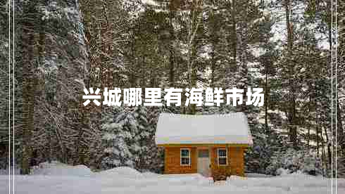 興城哪里有海鮮市場(chǎng)