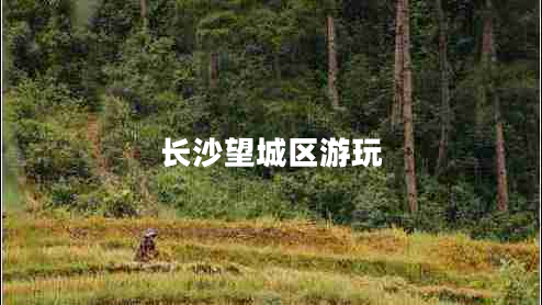 長(cháng)沙望城區游玩