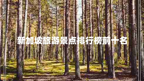 新加坡旅游景點(diǎn)排行榜前十名