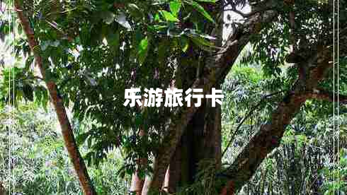 樂(lè )游旅行卡