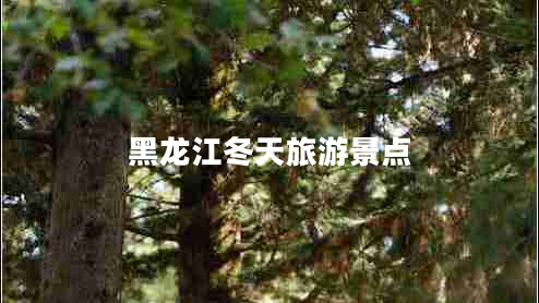 黑龍江冬天旅游景點(diǎn)