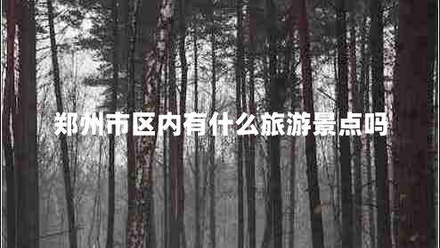 鄭州市區內有什么旅游景點(diǎn)嗎