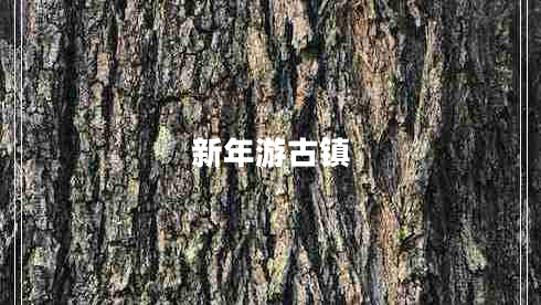 新年游古鎮