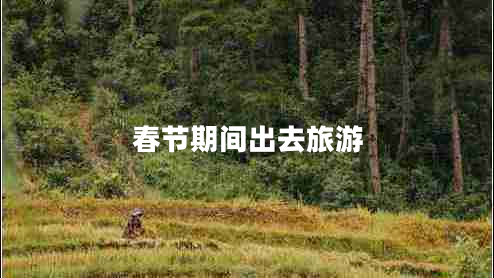 春節期間出去旅游