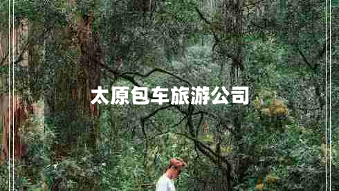 太原包車(chē)旅游公司