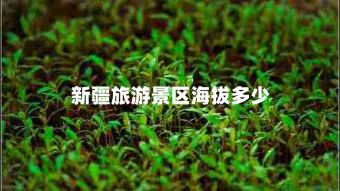 新疆旅游景區海拔多少