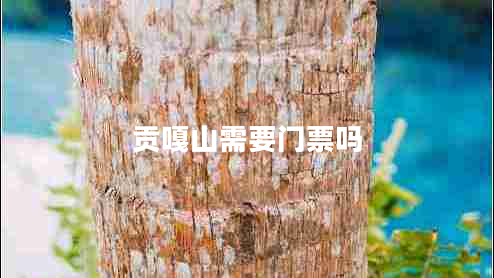 貢嘎山需要門(mén)票嗎