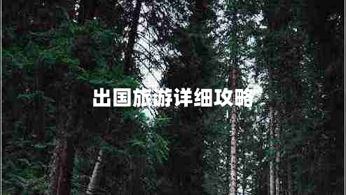 出國旅游詳細攻略