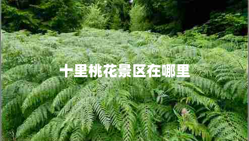 十里桃花景區在哪里