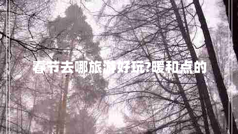 春節去哪旅游好玩?暖和點(diǎn)的