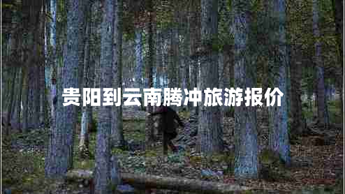 貴陽(yáng)到云南騰沖旅游報價(jià)