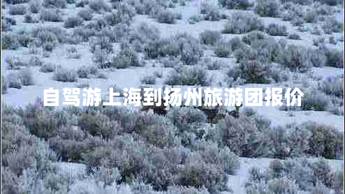 自駕游上海到揚州旅游團報價(jià)