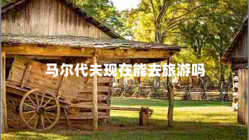 馬爾代夫現在能去旅游嗎