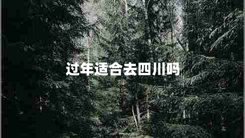 過(guò)年適合去四川嗎