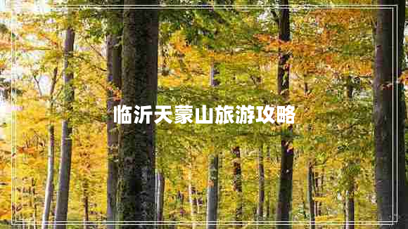 臨沂天蒙山旅游攻略