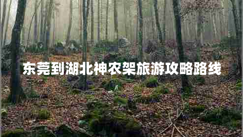 東莞到湖北神農架旅游攻略路線(xiàn)