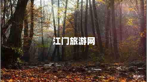 江門(mén)旅游網(wǎng)