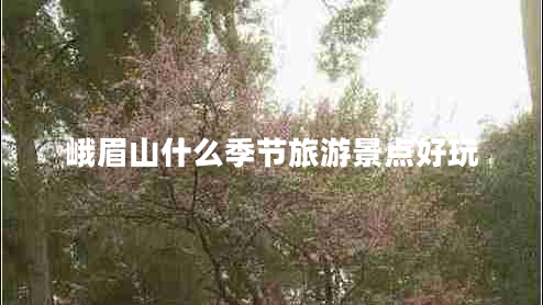 峨眉山什么季節旅游景點(diǎn)好玩