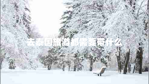 去泰國旅游都需要帶什么