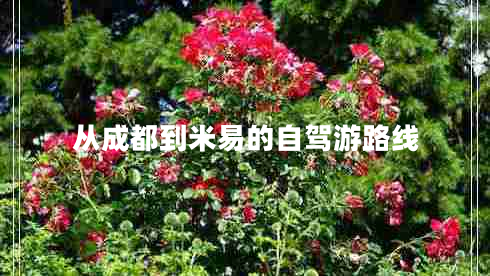 從成都到米易的自駕游路線(xiàn)