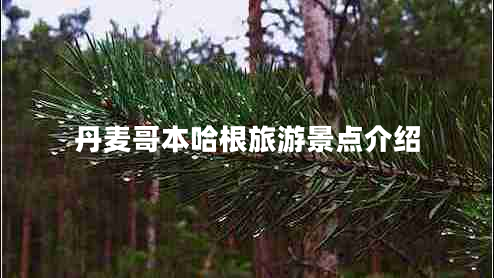 丹麥哥本哈根旅游景點(diǎn)介紹