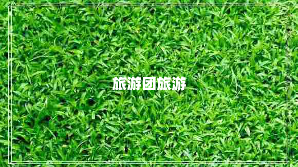 旅游團旅游