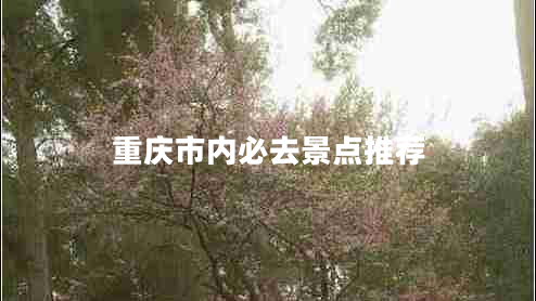 重慶市內必去景點(diǎn)推薦