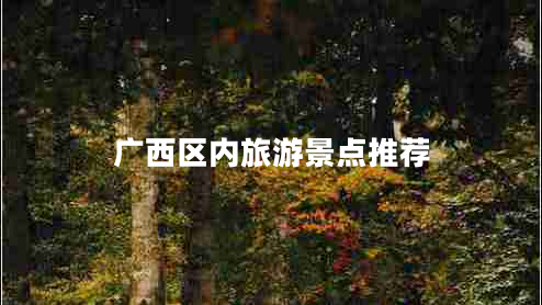 廣西區內旅游景點(diǎn)推薦