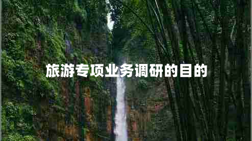 旅游專(zhuān)項業(yè)務(wù)調研的目的