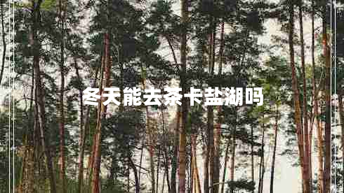 冬天能去茶卡鹽湖嗎