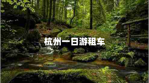 杭州一日游租車(chē)