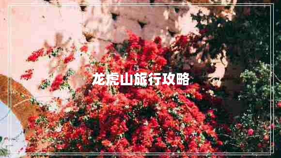龍虎山旅行攻略