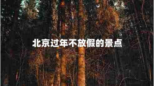 北京過(guò)年不放假的景點(diǎn)