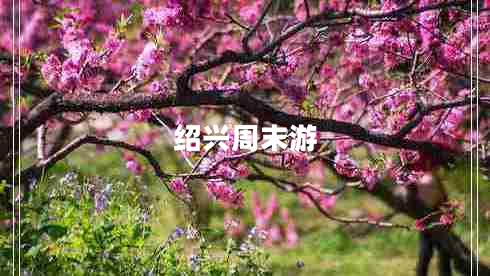 紹興周末游