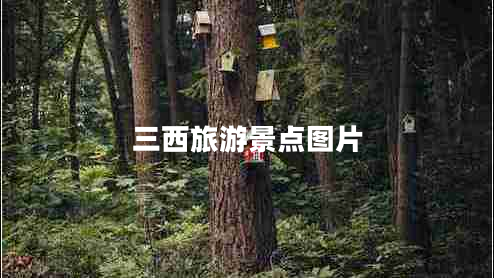 三西旅游景點(diǎn)圖片