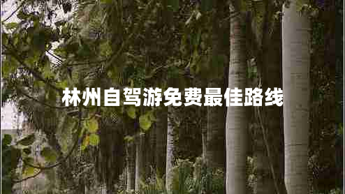 林州自駕游免費最佳路線(xiàn)