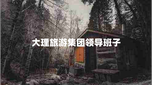 大理旅游集團領(lǐng)導班子