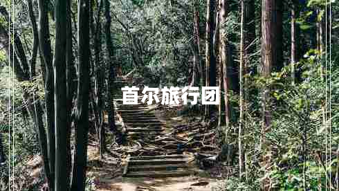 首爾旅行團