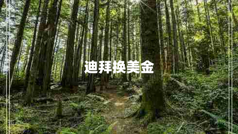 迪拜換美金