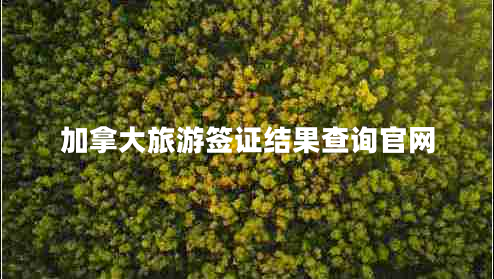 加拿大旅游簽證結果查詢(xún)官網(wǎng)