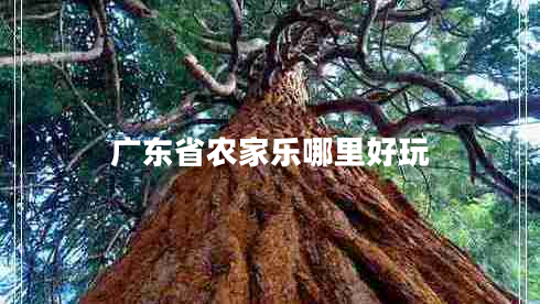 廣東省農家樂(lè )哪里好玩