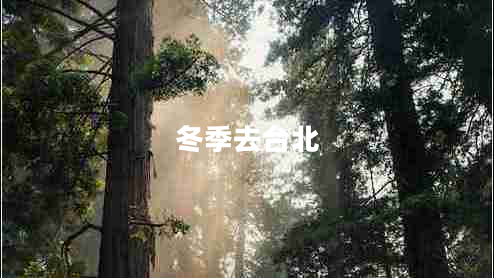 冬季去臺(tái)北
