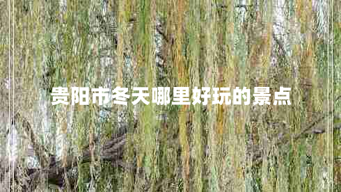 貴陽(yáng)市冬天哪里好玩的景點(diǎn)