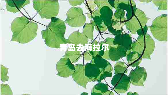 青島去海拉爾