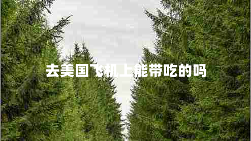 去美國飛機上能帶吃的嗎
