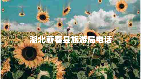 湖北蘄春縣旅游局電話(huà)