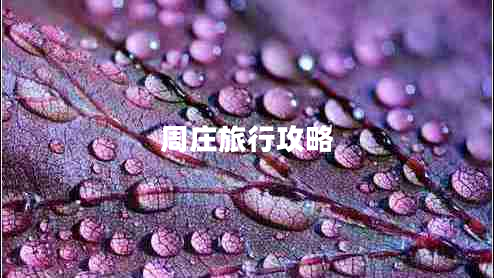 周莊旅行攻略