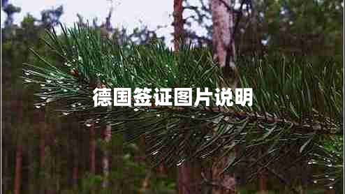 德國簽證圖片說(shuō)明